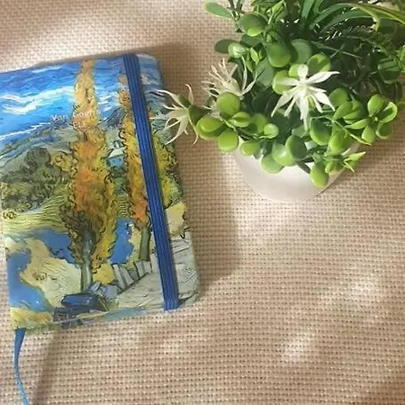 Alle's M Shyri * Tirana