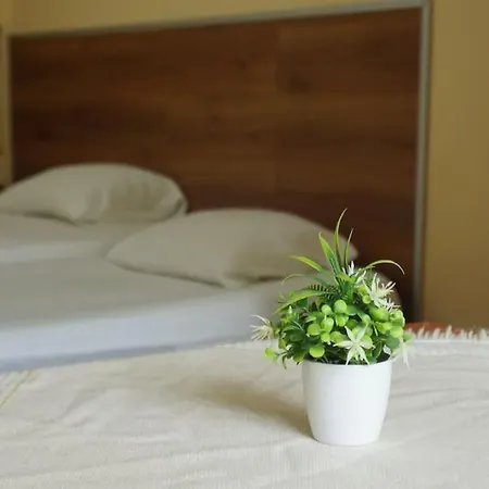 Alle's M Shyri Apartment *